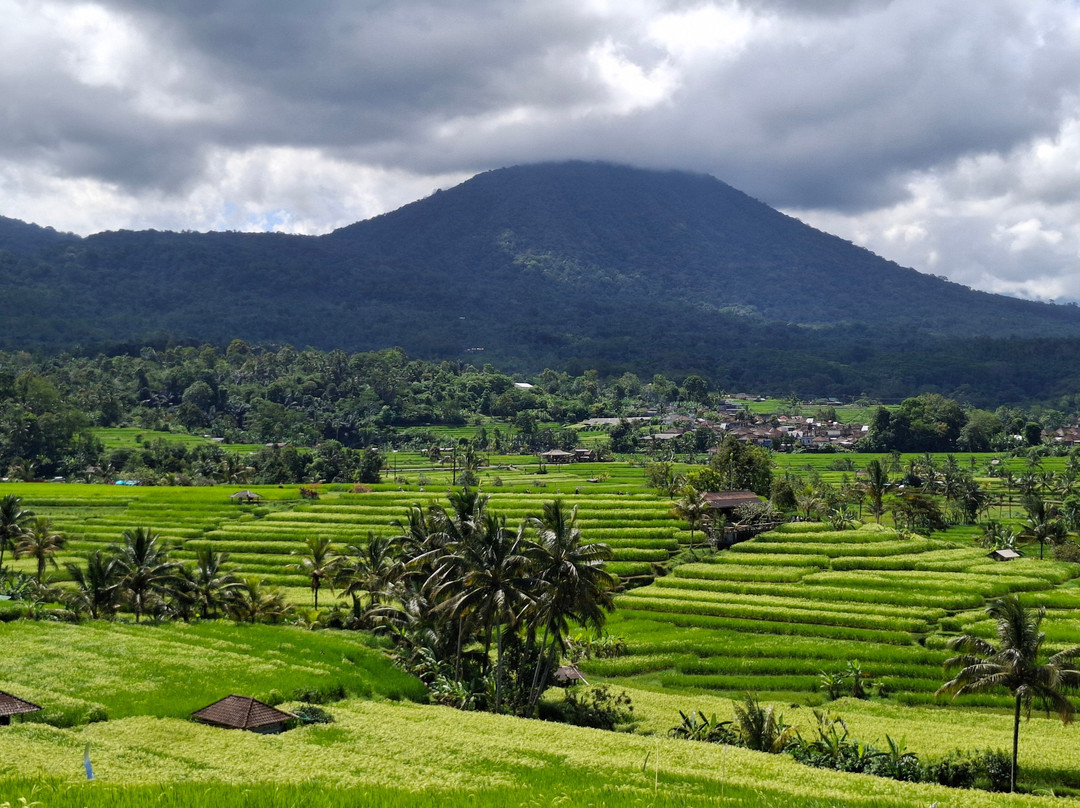 East Java Guide-巴纽旺宣必去景点