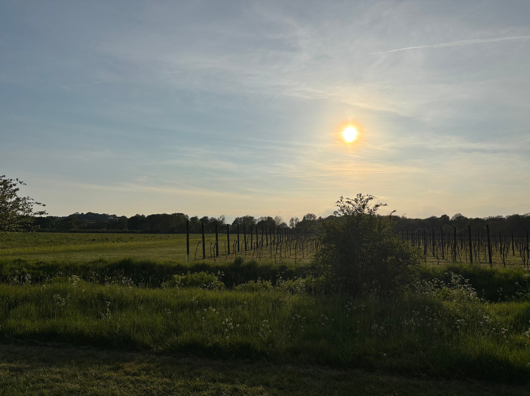 Balfour Winery-Staplehurst必去景点