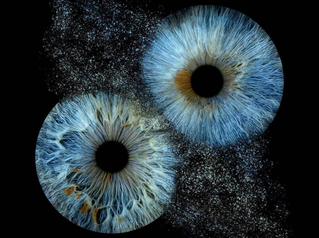 Iris Galerie Utrecht-乌特勒支必去景点
