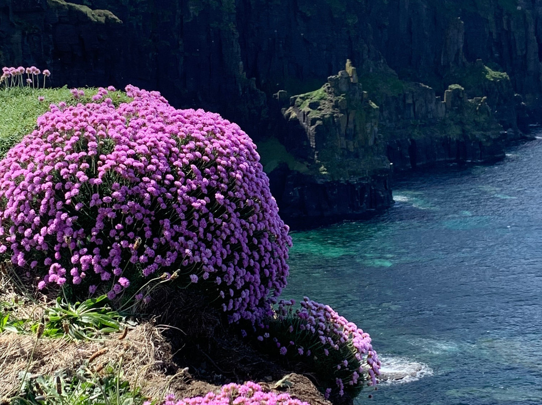 Doolin Cliff Walk-杜林必去景点
