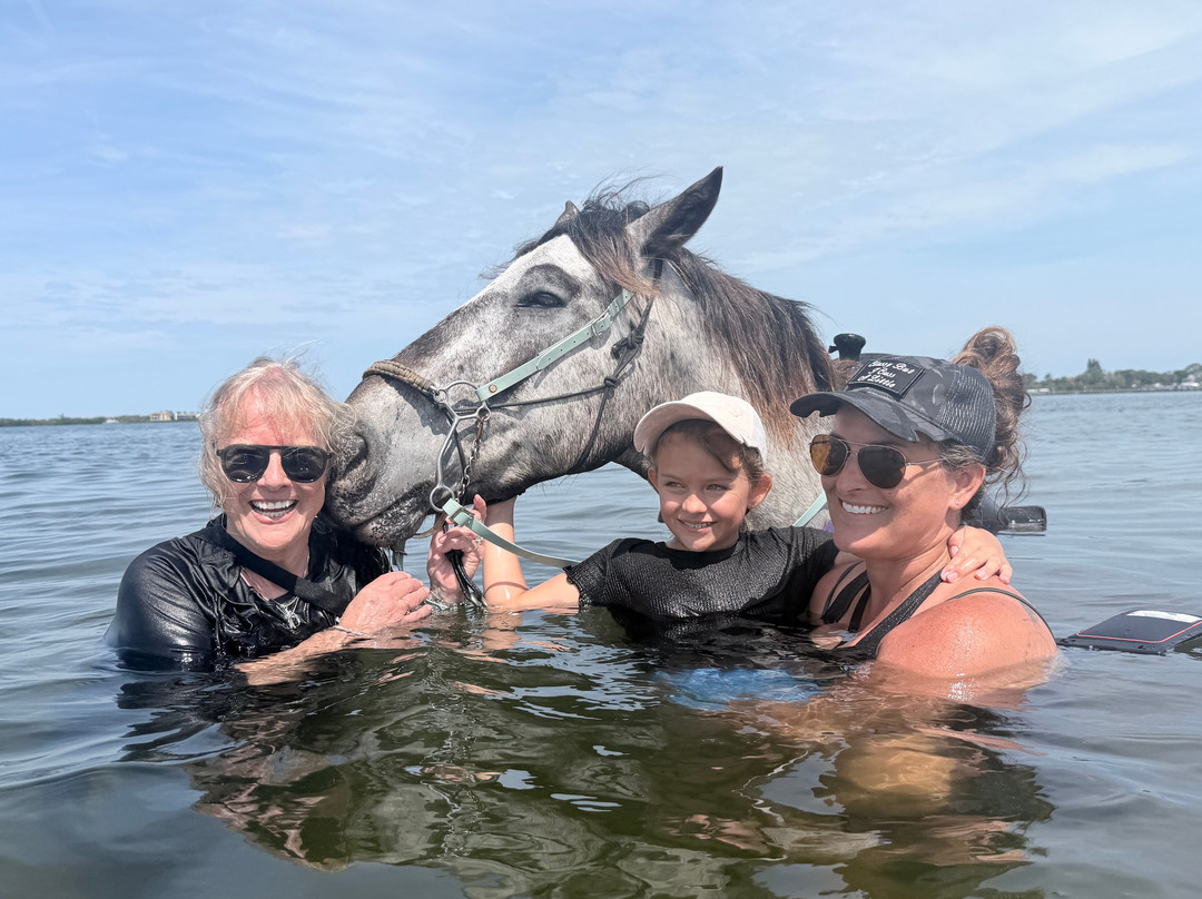 Florida Beach Horses-布雷登顿必去景点