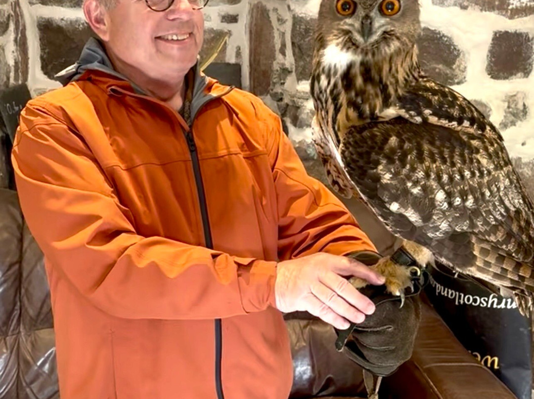 Shieldaig Falconry-盖尔洛赫必去景点