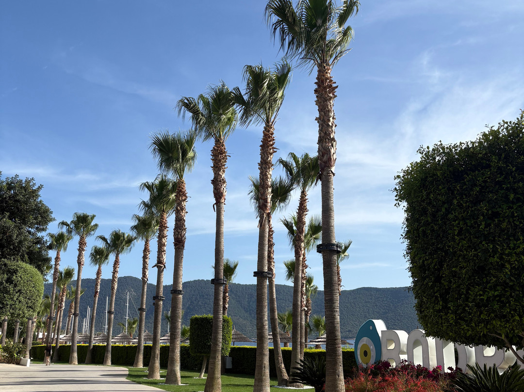 TUI MAGIC LIFE博德鲁姆 - 限成人(16岁以上)主图
