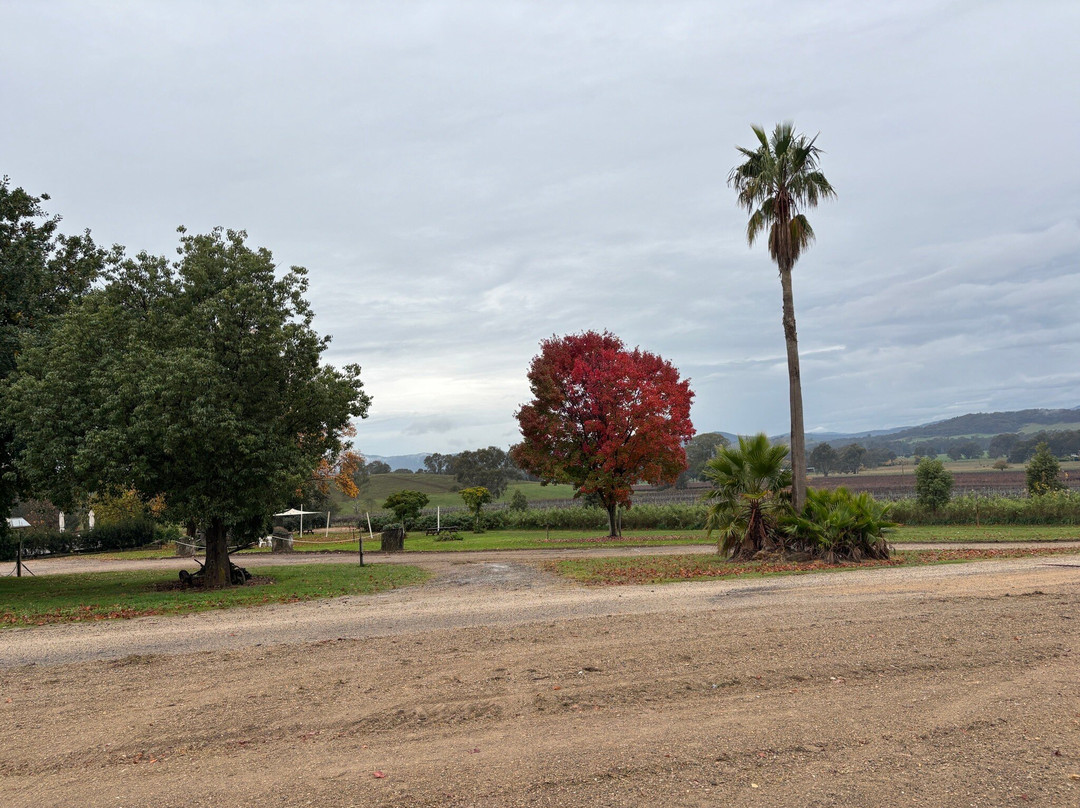 Gracebrook Vineyards-King Valley必去景点