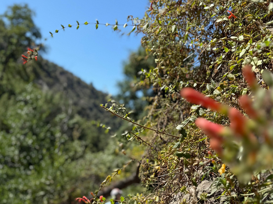 Monrovia Canyon Park-蒙罗维亚必去景点