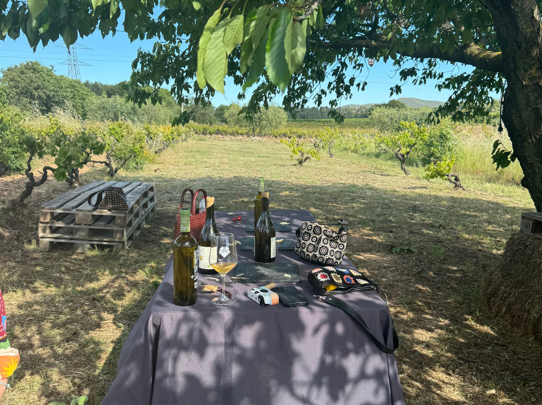 Penedes 500-El Pla de Manlleu必去景点