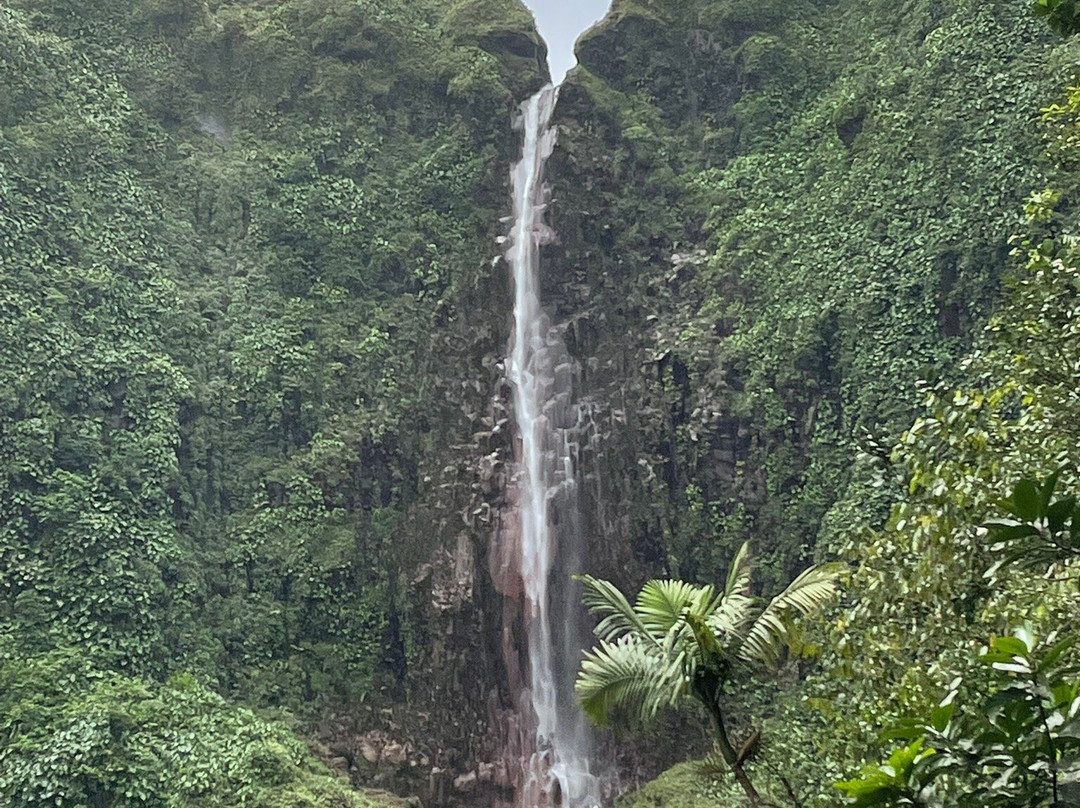 Carbet Falls (Les Chutes du Carbet)-Parc National必去景点