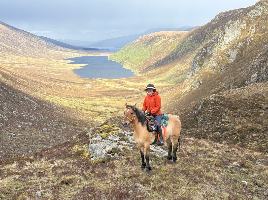 Highlands Unbridled Trail Riding & Trekking Centre-Aboyne必去景点