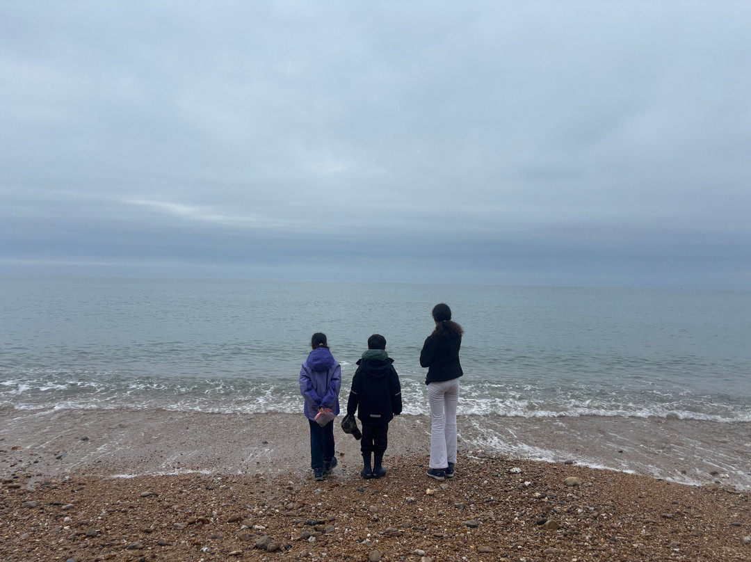 Jurassic Coast Guides-Charmouth必去景点