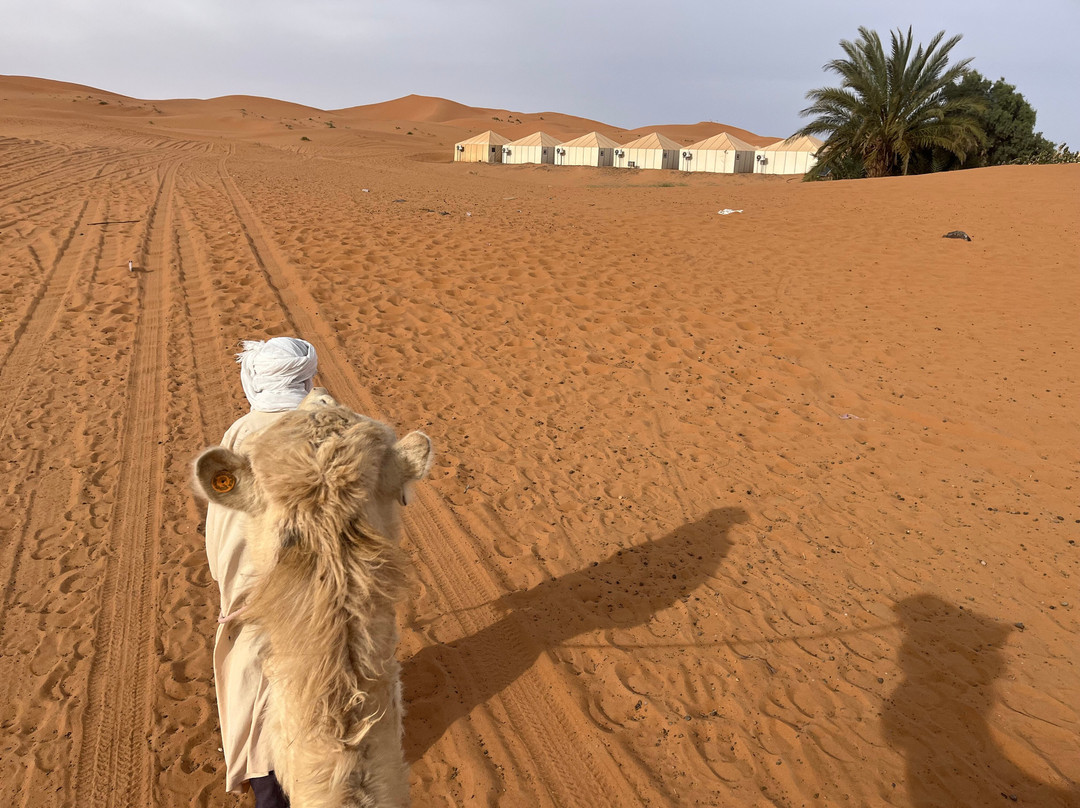 Marrakech Camel Trips-非斯必去景点