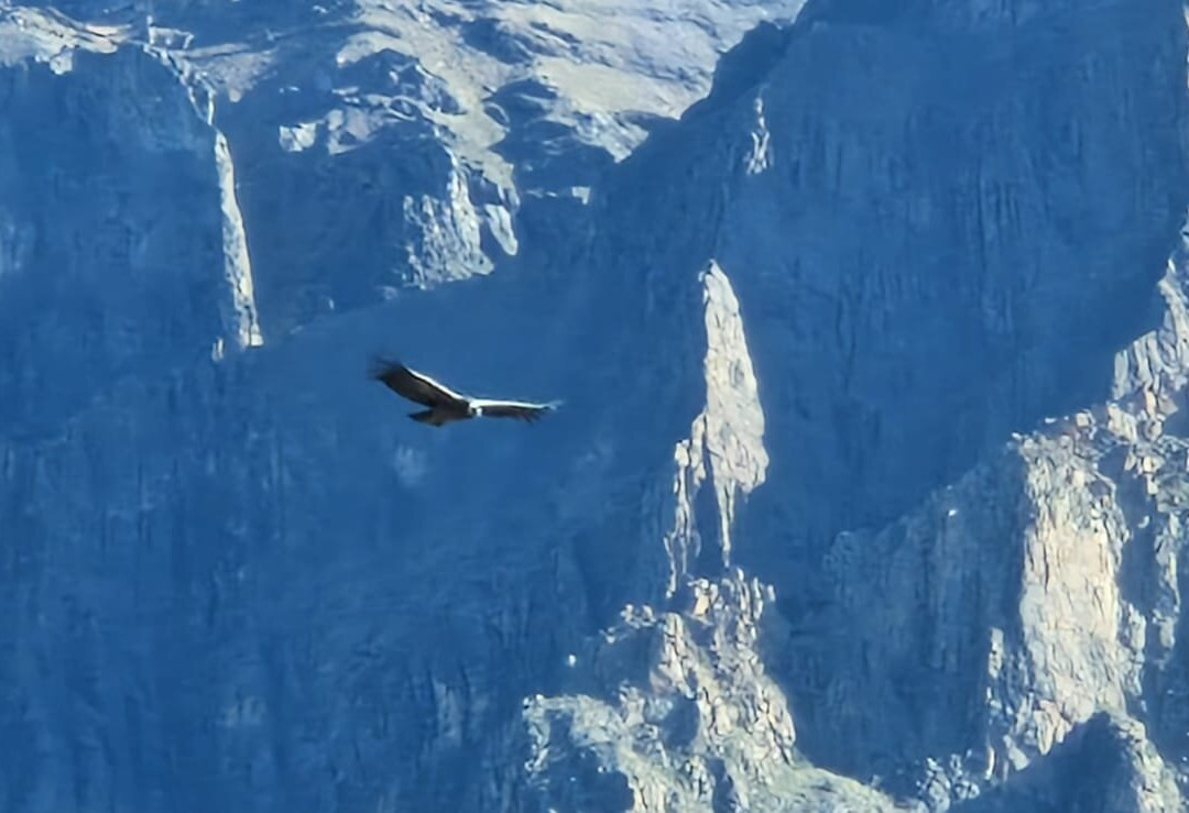 Mirador Cruz del Condor-Cabanaconde必去景点