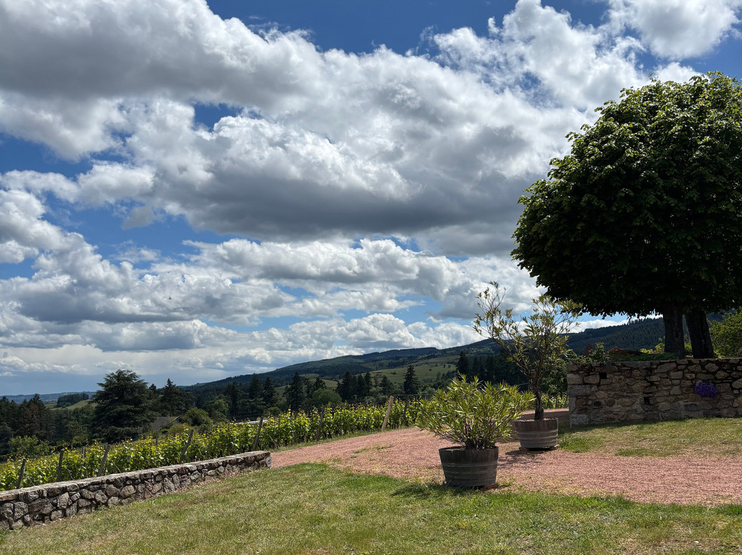 Domaine Serol-Renaison必去景点