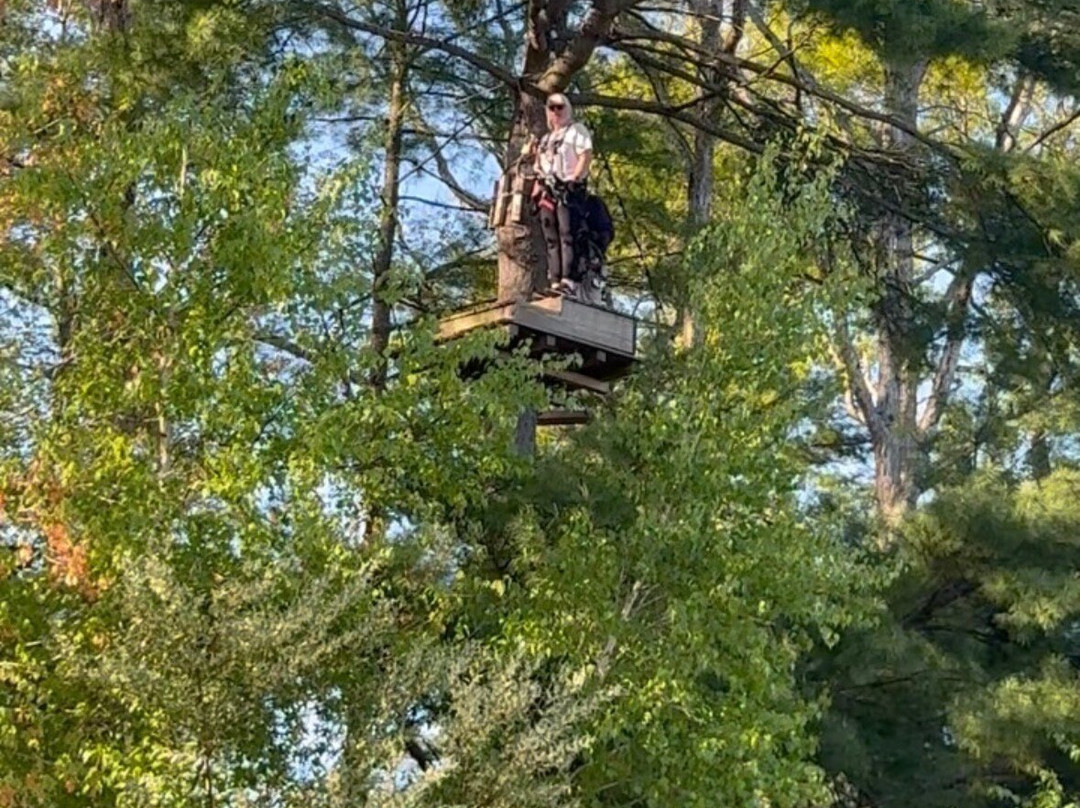 TreeTop Adventures Canton-Canton必去景点