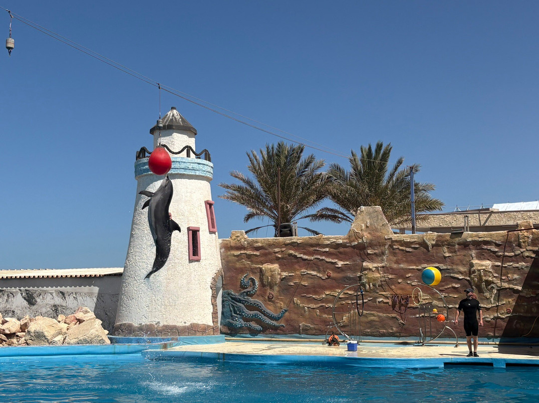 Agadir Dolphin World-阿加迪尔必去景点