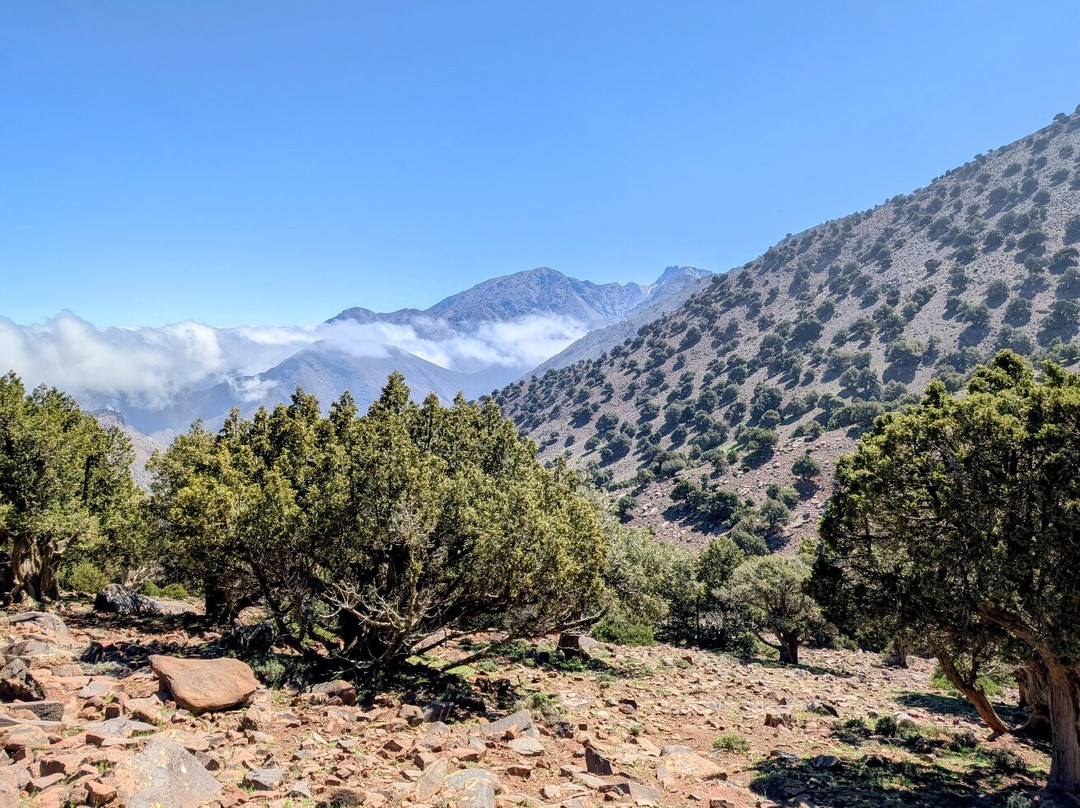 Biking in Morocco - Day Tours-马拉喀什必去景点