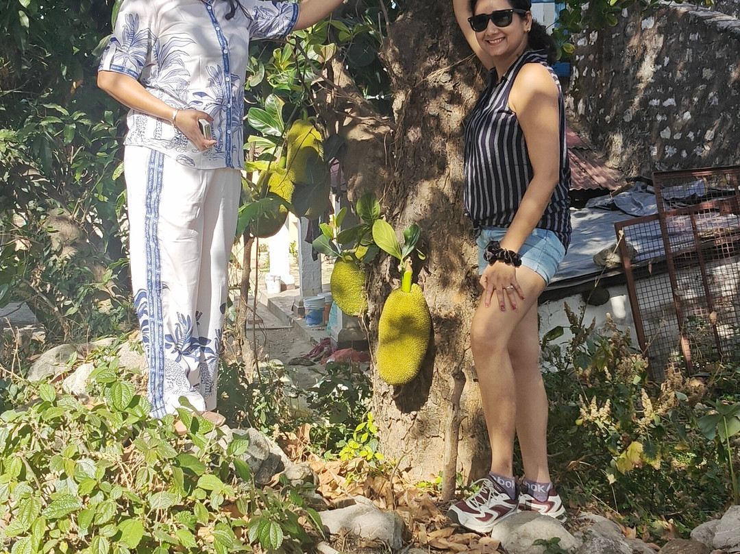Paddy Adventures-Tapovan必去景点