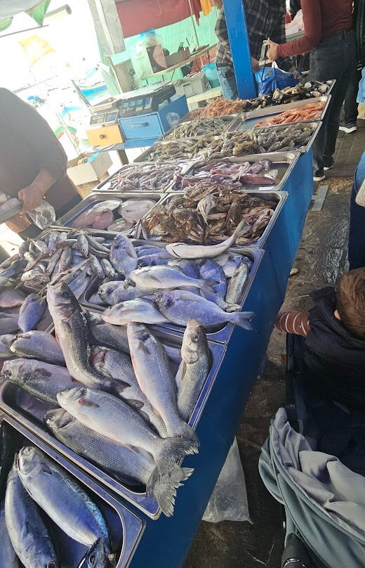 Marsaxlokk Market-Marsaxlokk必去景点