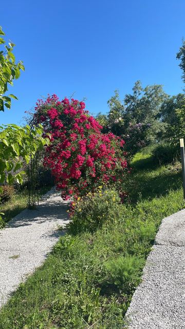 A3Passi Agriturismo tra gli Ulivi 酒店-旅行者