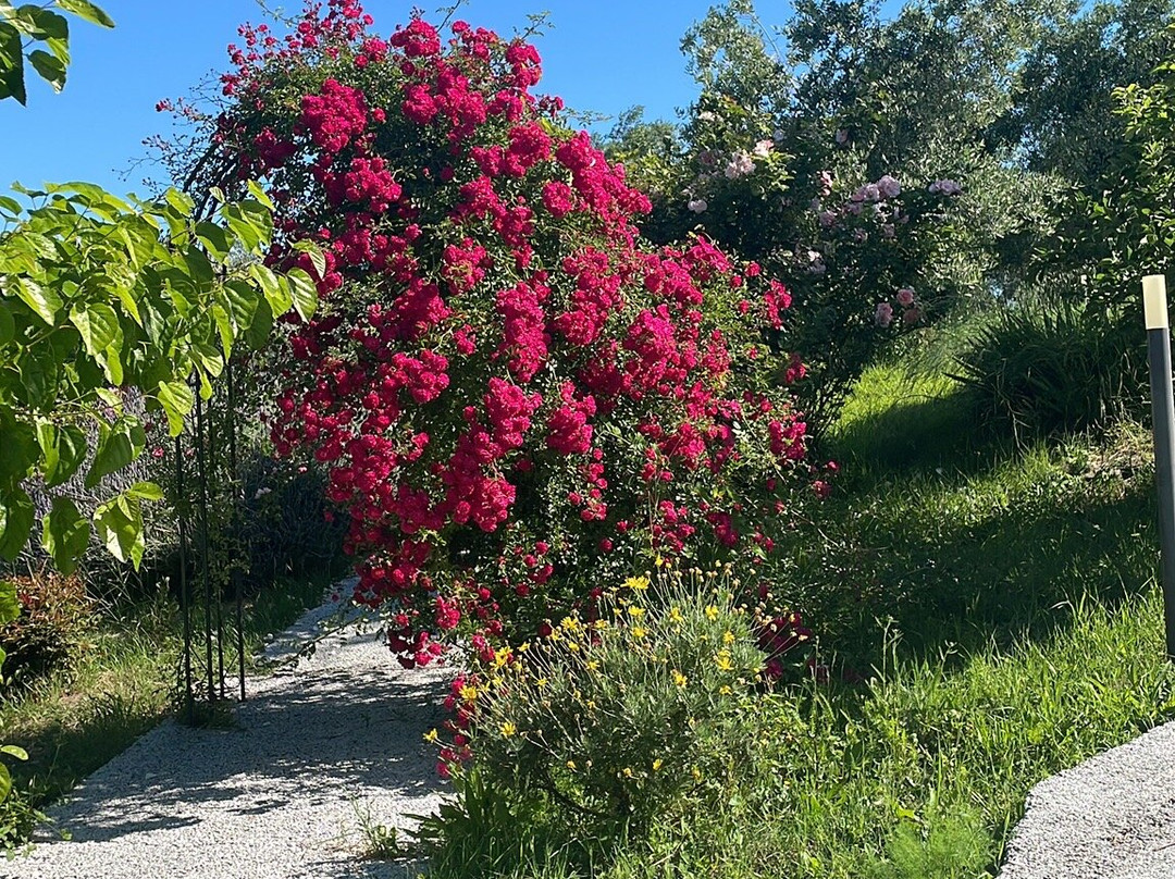 A3Passi Agriturismo tra gli Ulivi 酒店主图