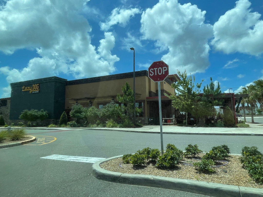 Lazy Dog Restaurant & Bar