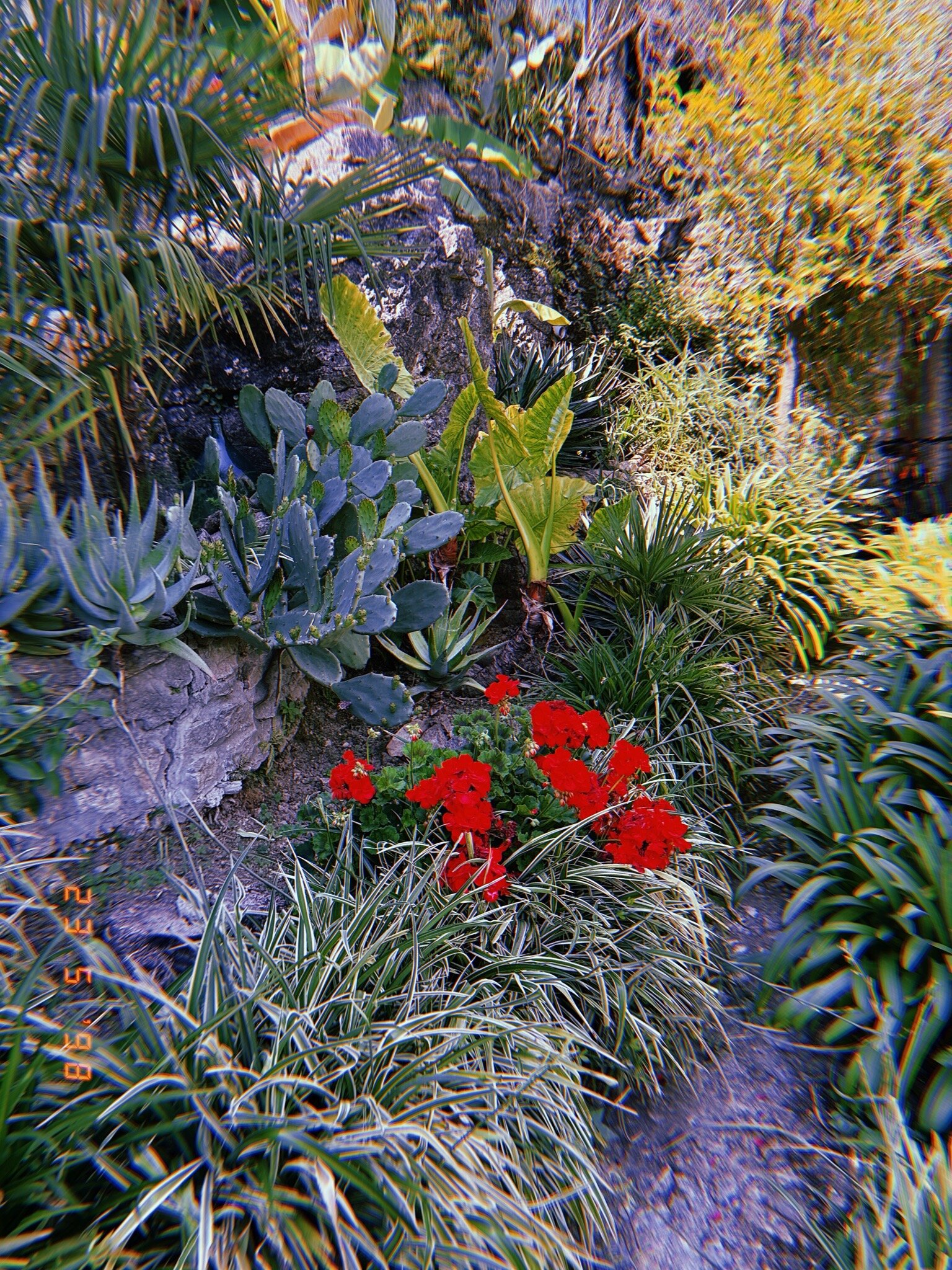 La Fattoria di Nonna Eugenia-旅行者