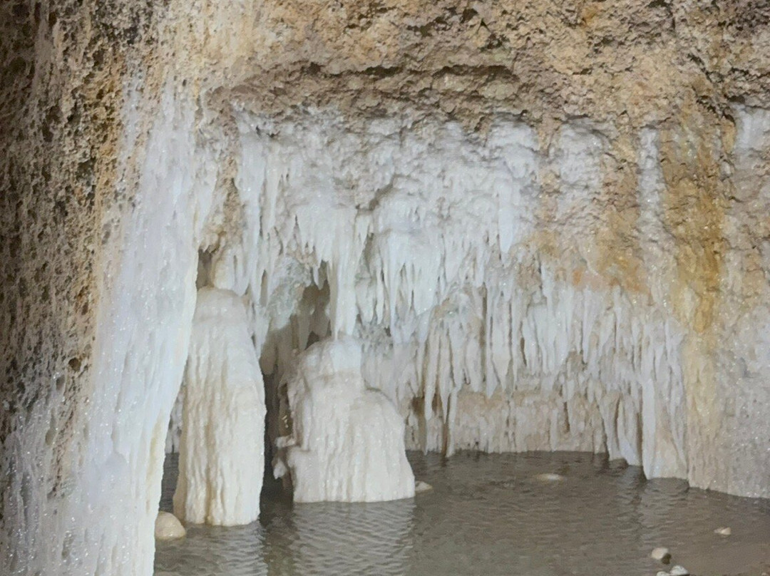 Harrison's Cave Eco-Adventure Park-Saint Thomas Parish必去景点