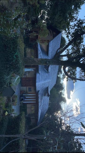 The Lodge at Wah, Palampur-旅行者
