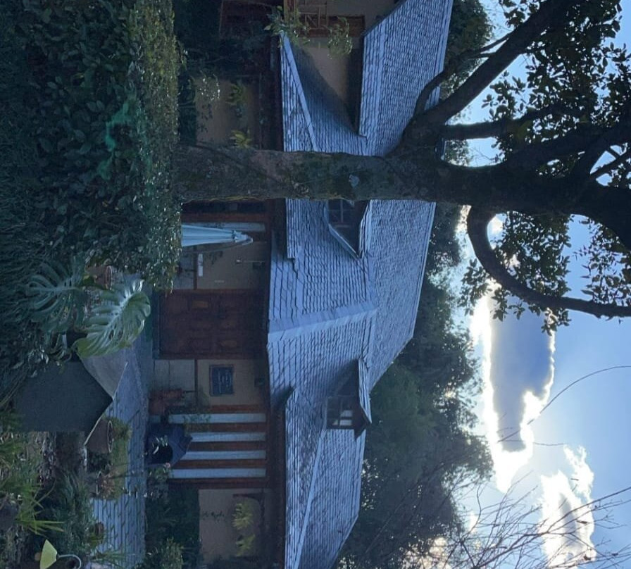 The Lodge at Wah, Palampur主图
