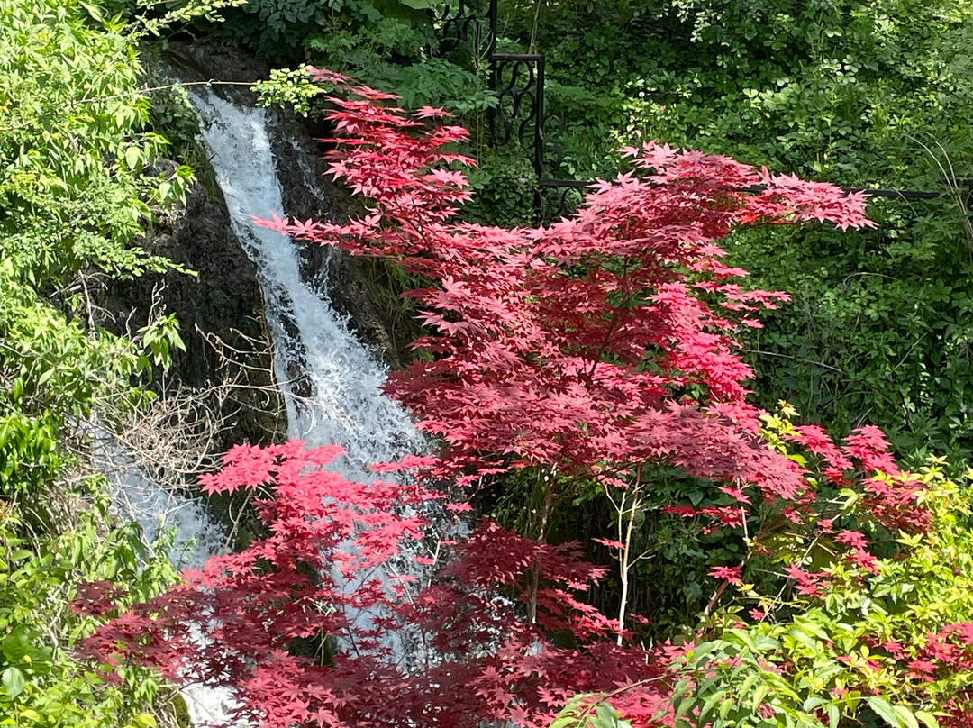 Botanical Garden Ecopark-瓦尔纳必去景点
