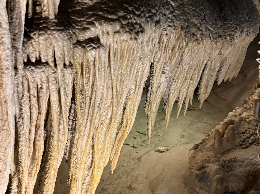 Grotta Antro del Corchia-Levigliani必去景点