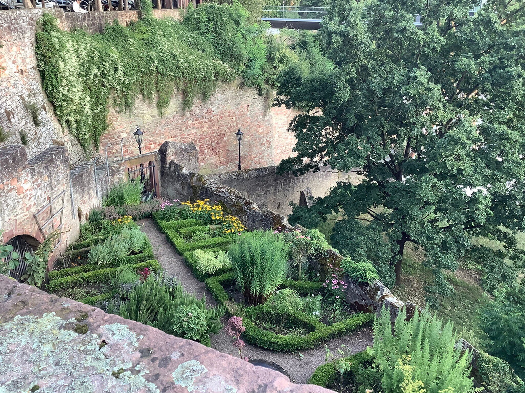 Schloss Johannisburg mit Schlossanlagen-阿沙芬堡必去景点