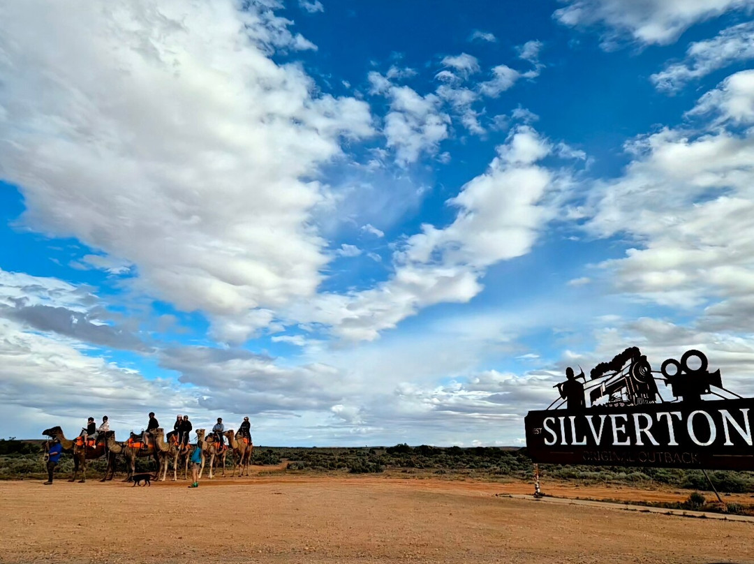 Silverton Outback Camels-Silverton必去景点