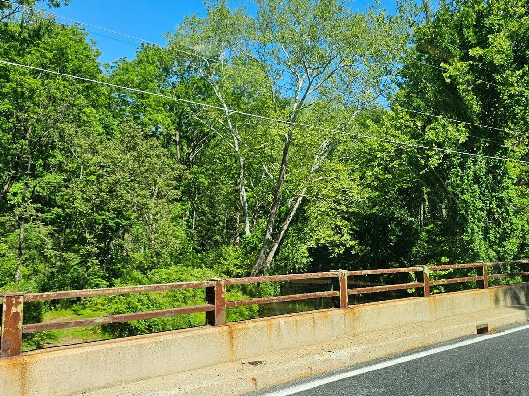Clark Bridge over Deer Creek-Street必去景点