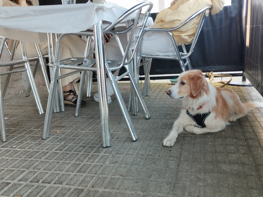 Restaurante Begomar
