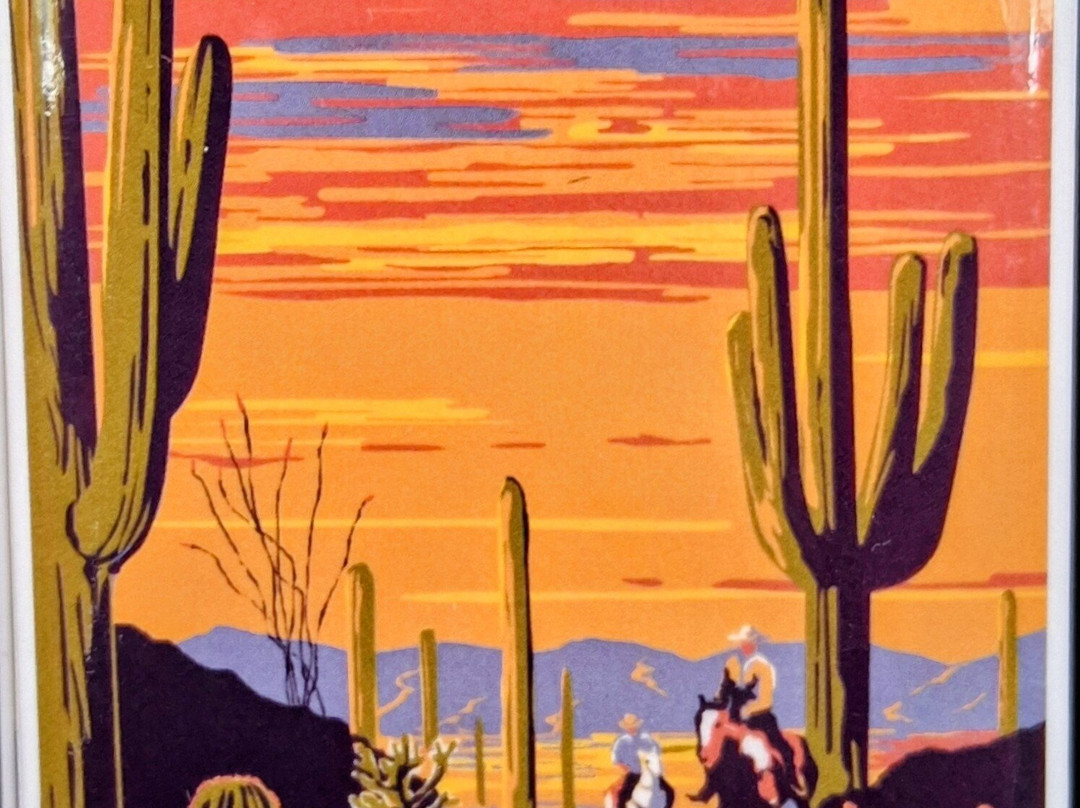 Saguaro National Park-图森必去景点