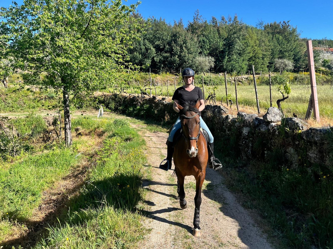 ATV & Horse Tours Central Portugal-Nogueira do Cravo必去景点