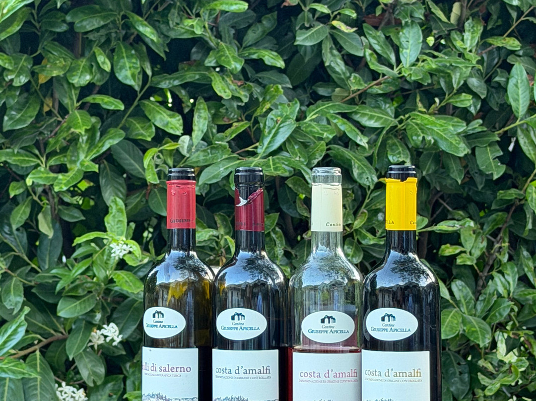 Cantina Giuseppe Apicella-Tramonti必去景点