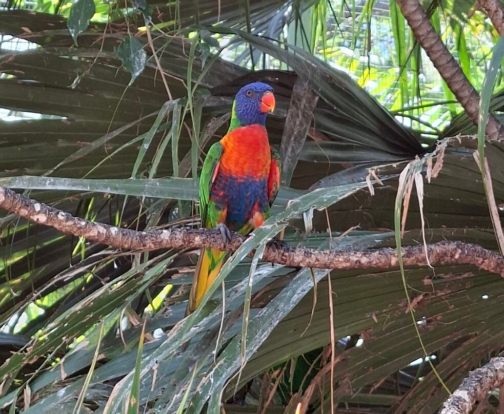 Jardin Botanique de Deshaies-Deshaies必去景点