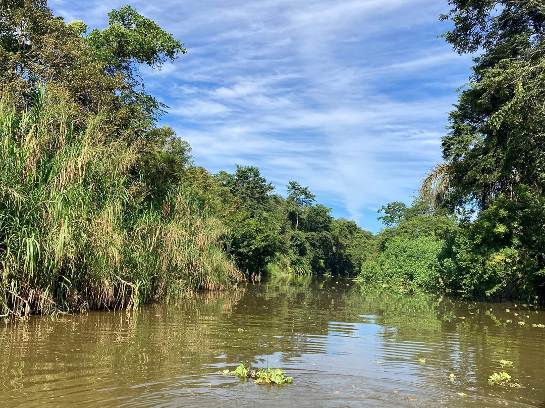 Tortuguero Canal-利蒙港必去景点