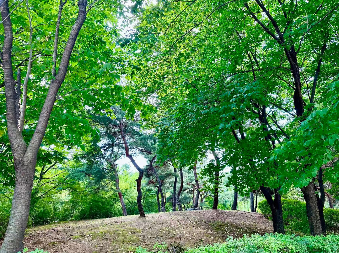 Ilsan Lake Park-高阳市必去景点