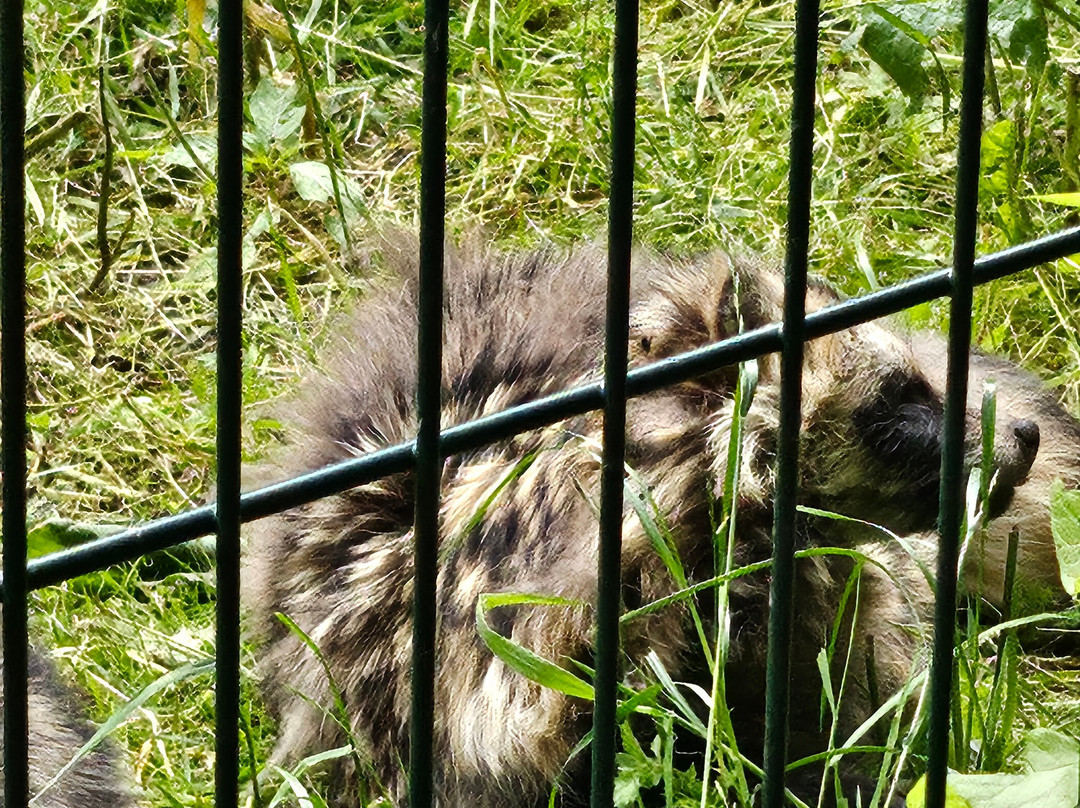Ponderosa Zoo-Heckmondwike必去景点