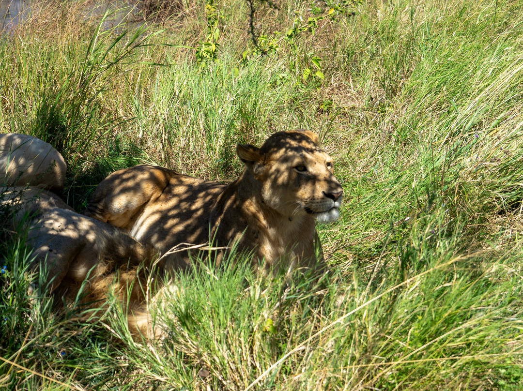 Sereland Africa Safaris-Sakina必去景点