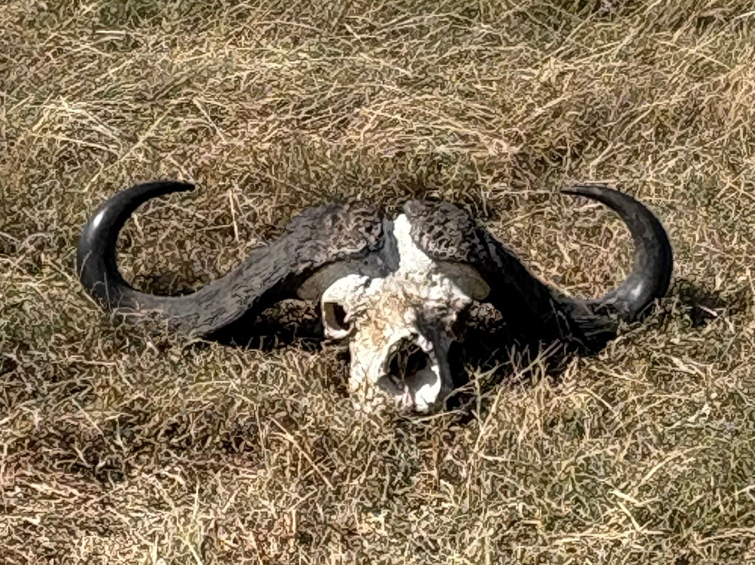 Tanzania-Experience-阿鲁沙必去景点