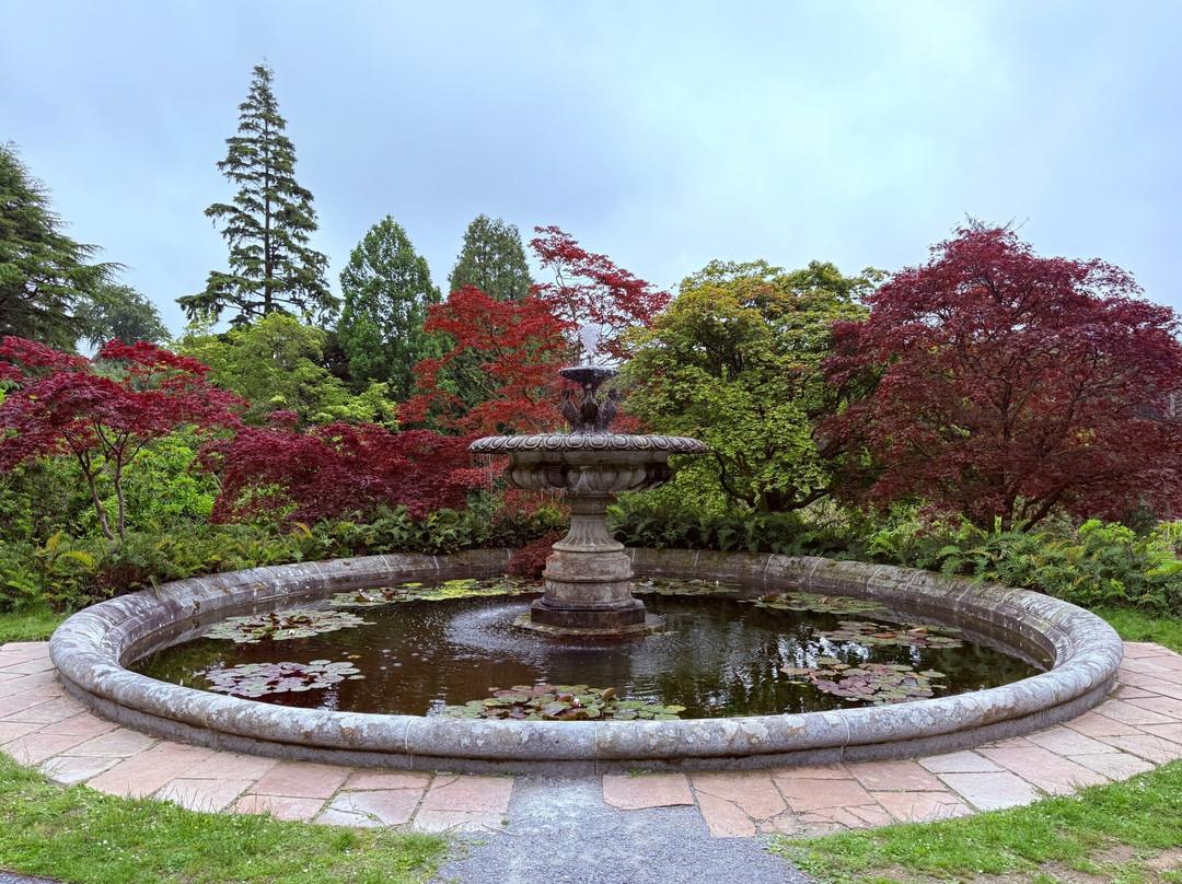 Castlewellan Forest Park-Castlewellan必去景点