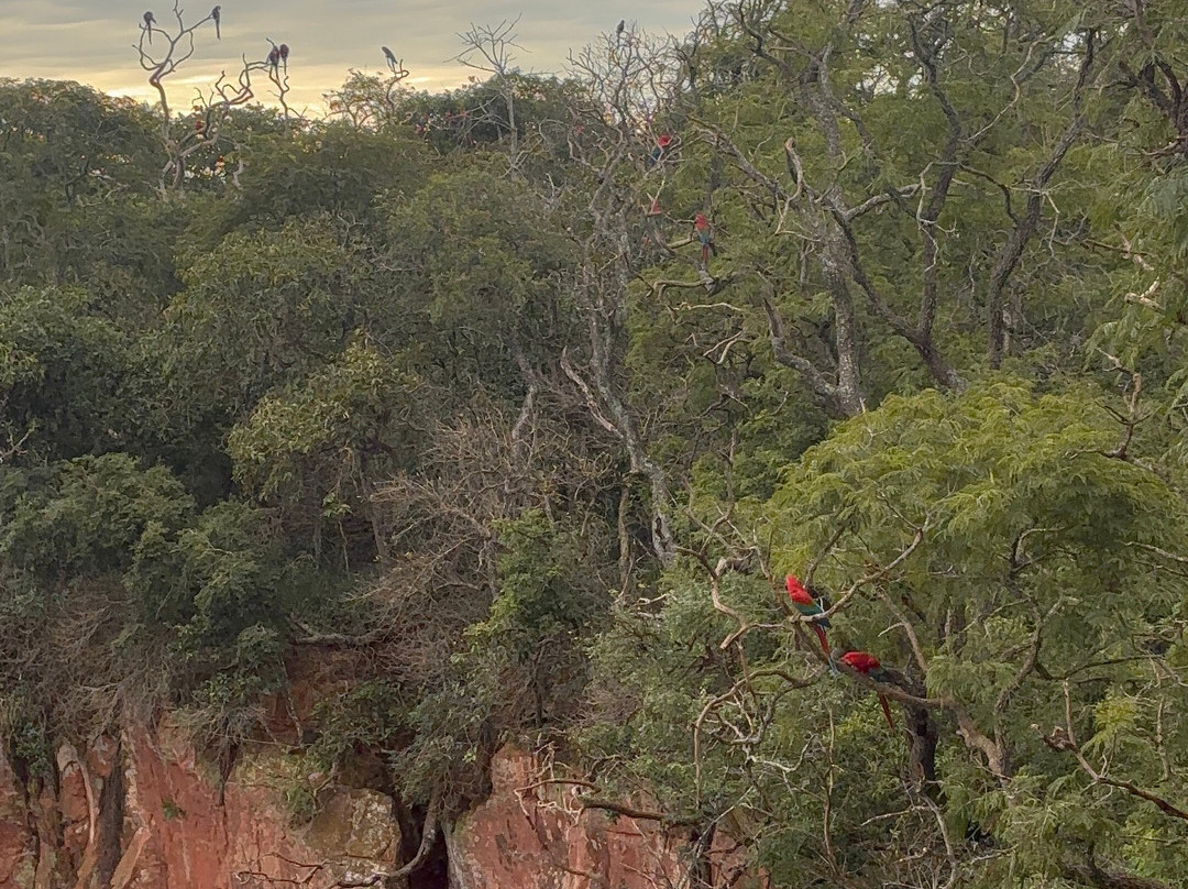 Buraco das Araras Ecoturismo-雅尔丁必去景点