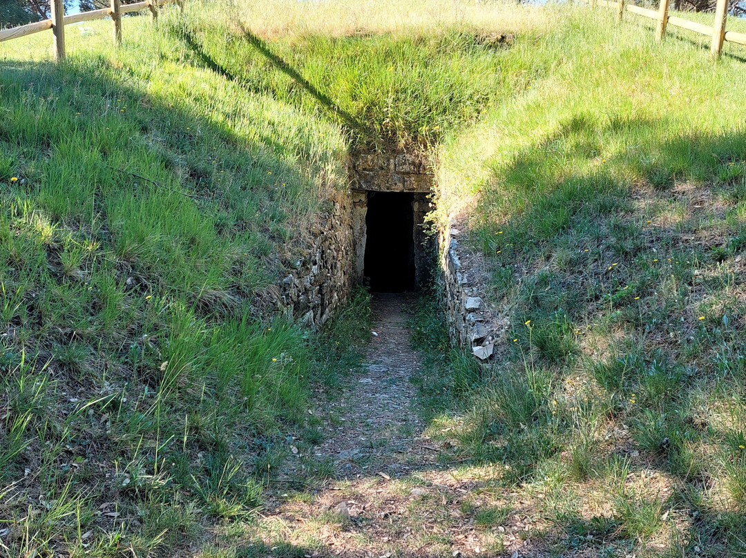 Tombe Etrusche a Montecalvario-卡斯特利纳－因基安蒂必去景点