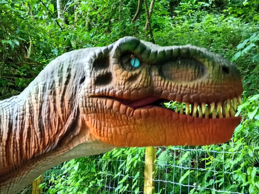 Combe Martin Wildlife And Dinosaur Park-伊尔弗勒科姆必去景点