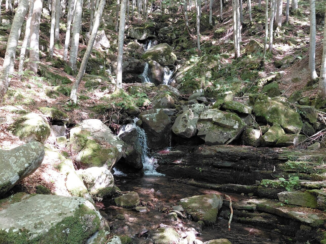 Cascate del Dardagna-Lizzano in Belvedere必去景点