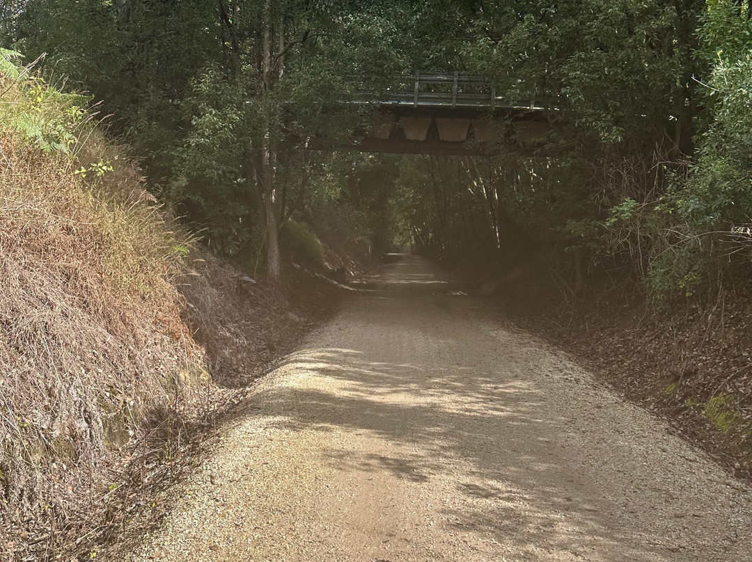 Northern Rivers Rail Trail-Murwillumbah必去景点