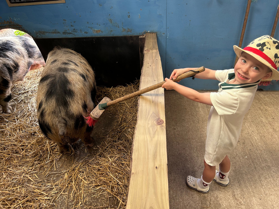 Piglets Adventure Farm-约克必去景点